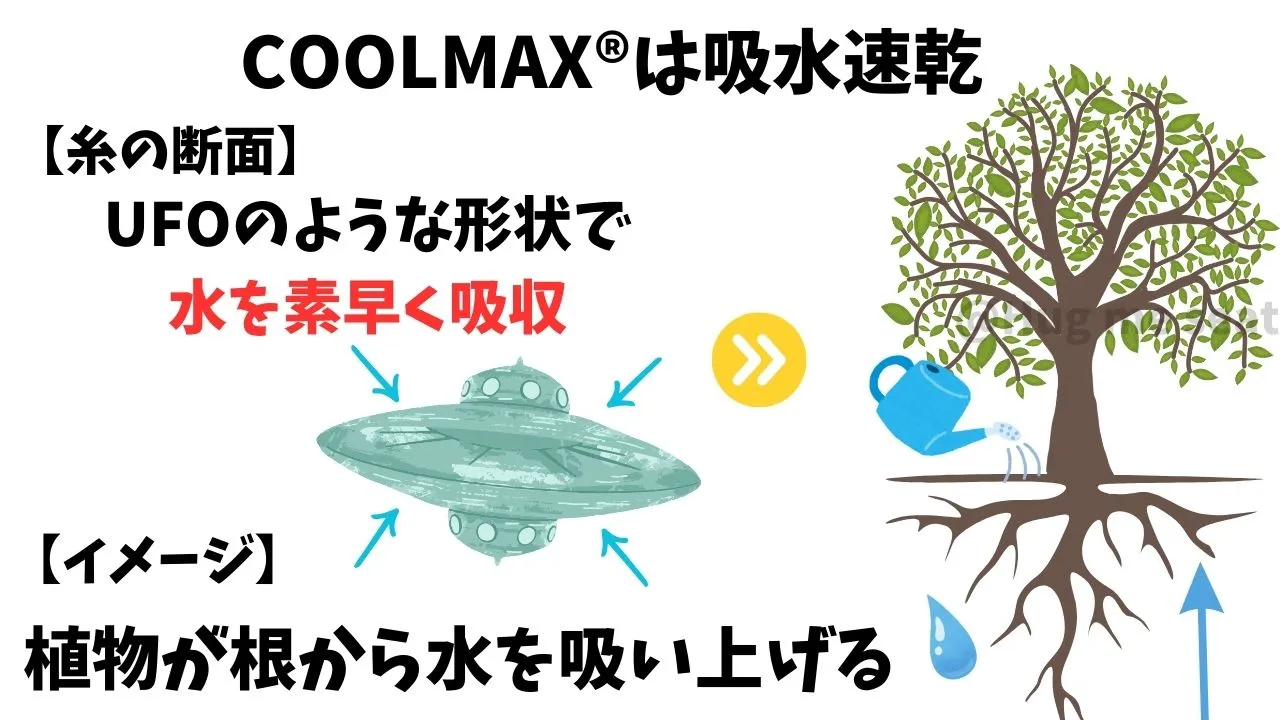 インナークッションの吸水速乾素材COOLMAX®
