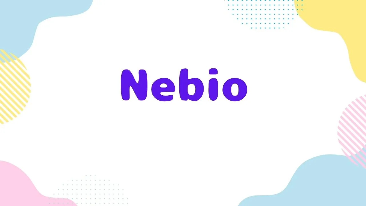 2025年Amazonブラックフライデーでおすすめのネビオジュニアシート