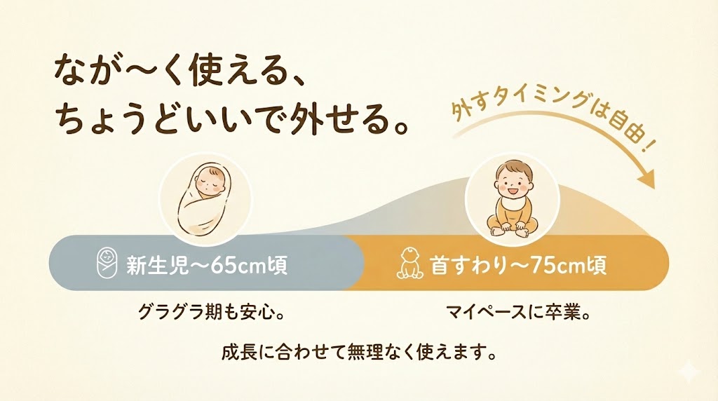 THE S ZGのインナークッションの使用期間